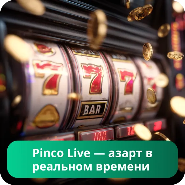 Pinco Live — азарт в реальном времени